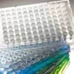 Thermo Fisher Scientific Armadillo PCR Plate, 96-well, red, semi-skirted, low profile, clear wells