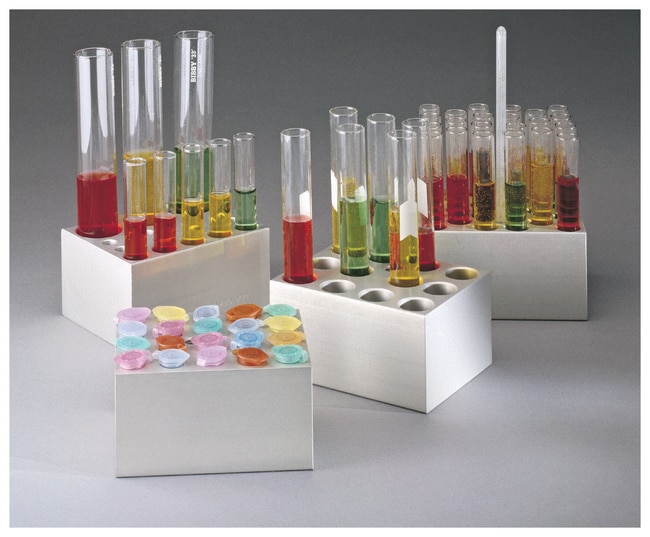 Thermo Fisher Scientific Isotemp Heating Blocks