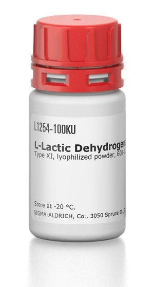 Merck L-LACTIC DEHYDROGENASE FROM RABBIT&