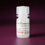 Thermo Fisher Scientific Pierce Recombinant Protein A Agarose, 5 mL