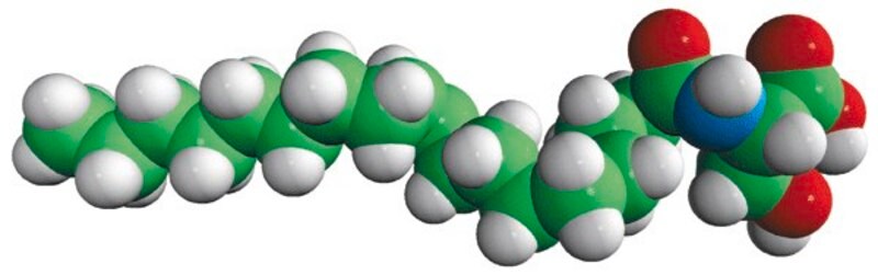 Merck N-18:1 L-Serine