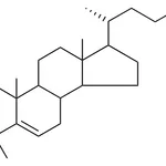 Merck 2,2,4,4-TETRAMETHYLCHOLEST-5-E - 1 MG&