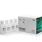 Thermo Fisher Scientific ULTRAhyb Ultrasensitive Hybridization Buffer, 4 x 125 mL