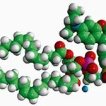 Merck 18:1 LISS RHOD PE