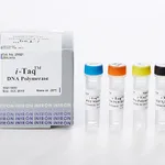 Intron i-Taq™ DNA Polymerase