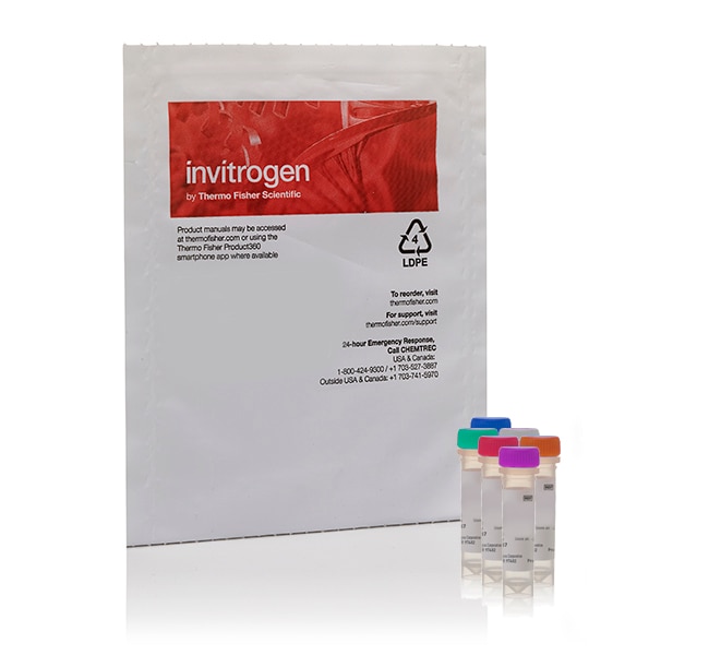 Thermo Fisher Scientific HCS LipidTOX Phospholipidosis and Steatosis Detection Kit, for high-content screening, for cellular imaging