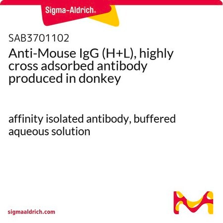 Merck Anti-Mouse IgG (H+L), highly cross adsorbed antibody produced in donkey