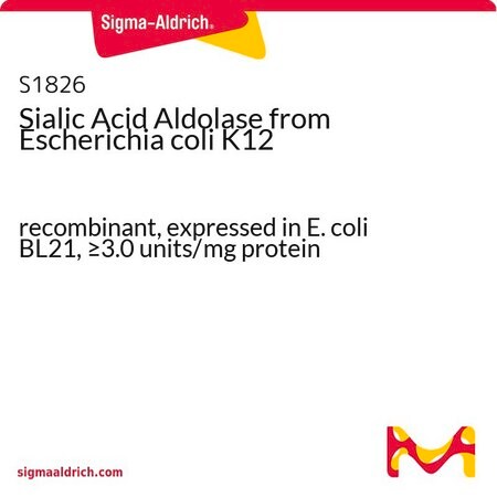 Merck Sialic Acid Aldolase from Escherichia coli K12