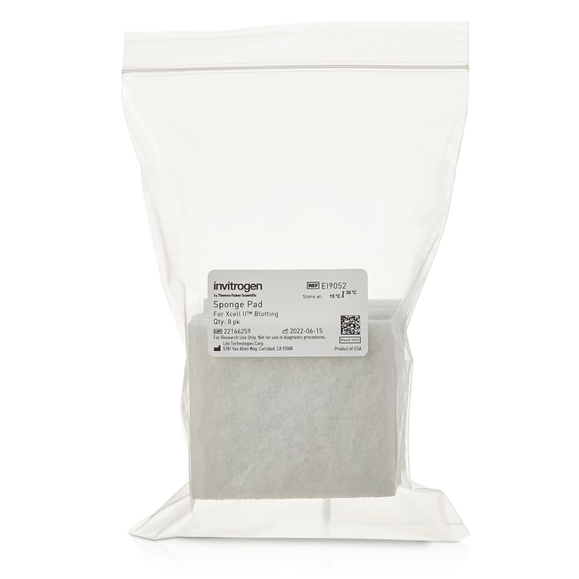 Thermo Fisher Scientific Sponge Pad for Blotting