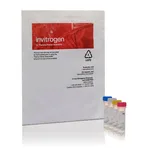 Thermo Fisher Scientific Cell Culture Contamination Detection Kit