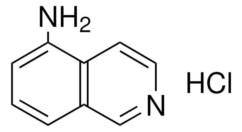 Merck 5-AMINOISOQUINOLINE DIHYDROCHLO