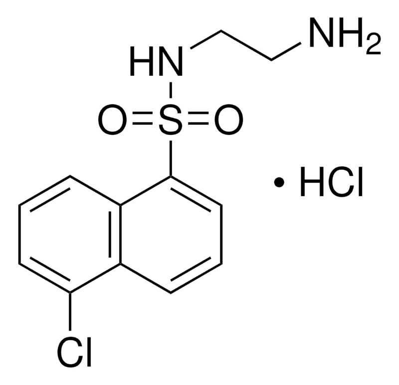 Merck A3 hydrochloride