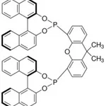 Merck (11BR,11``BR)-4,4``-(9,9-DIMETHYL-9H-XANT&