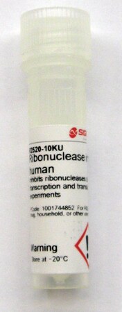 Merck Ribonuclease inhibitor human