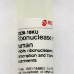 Merck Ribonuclease inhibitor human