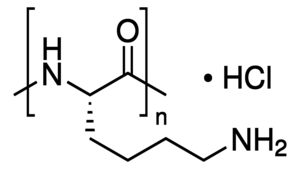 Merck POLY-L-LYSINE HYDROCHLORIDE MOL. WT.   &