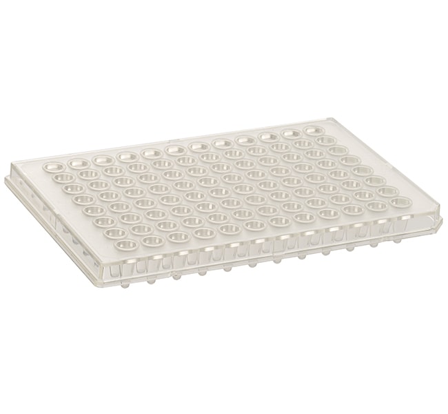 Thermo Fisher Scientific Armadillo PCR Plate, 96-well, clear, semi-skirted, low profile, clear wells