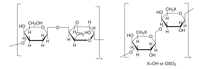 Merck Agar