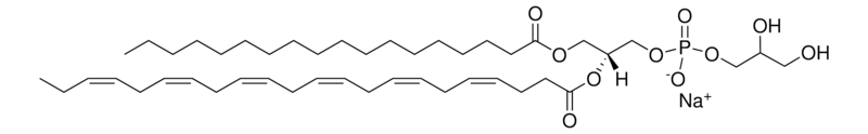 Merck 18:0-22:6 PG