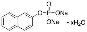 Merck s-NICOTINAMIDE ADENINE DINUCLEOTIDE