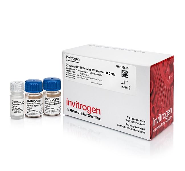 Thermo Fisher Scientific Dynabeads Untouched Human B Cells Kit