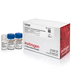 Thermo Fisher Scientific Dynabeads Untouched Human B Cells Kit