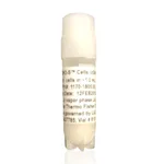 Thermo Fisher Scientific ExpiCHO-S Cells (cGMP Banked)