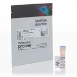 Thermo Fisher Scientific Pacific Blue C5-Maleimide