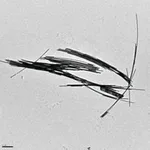Merck GOLD NANOWIRES, DIAM. X L 30 NM X 6,000&