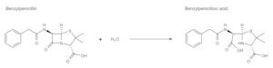 Merck PENICILLINASE TYPE IV FROM ENTEROBACTER