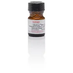 Thermo Fisher Scientific Bluo-Gal