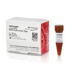 Thermo Fisher Scientific ROX Reference Dye