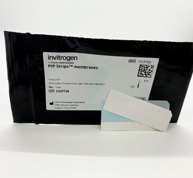 Thermo Fisher Scientific PIP Strips Membranes, 2 strips