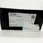 Thermo Fisher Scientific PIP Strips Membranes, 2 strips