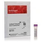 Thermo Fisher Scientific CellMask Deep Red Actin Tracking Stain, 1 x 60 Assays