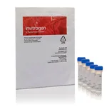 Thermo Fisher Scientific Fluo-4 AM - Packaged For High-Throughput Screening