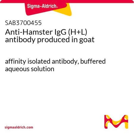 Merck Anti-Hamster IgG (H+L) antibody produced in goat