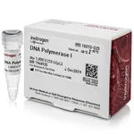 Thermo Fisher Scientific DNA Polymerase I, 250 U