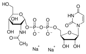 Merck URIDINE 5``-DIPHOSPHO-N-ACETYL- &
