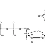 Merck 2'-Deoxyadenosine-13C10,15N5 5'-triphosphate disodium salt solution