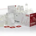 Thermo Fisher Scientific PureLink HiPure Plasmid Maxiprep Kit, 10 Preps