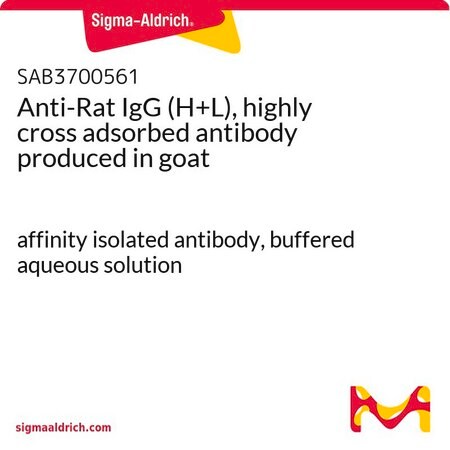 Merck Anti-Rat IgG (H+L), highly cross adsorbed antibody produced in goat