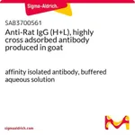 Merck Anti-Rat IgG (H+L), highly cross adsorbed antibody produced in goat
