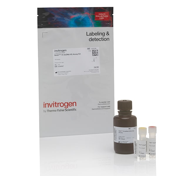 Thermo Fisher Scientific Qubit 1X dsDNA HS Assay Kit, 100 assays