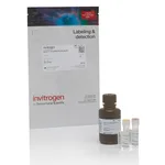 Thermo Fisher Scientific Qubit 1X dsDNA HS Assay Kit, 100 assays