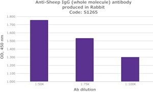 Merck ANTI-SHEEP IGG (WHOLE MOLECULE) &