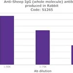Merck ANTI-SHEEP IGG (WHOLE MOLECULE) &