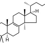 Merck LANOSTEROL, >/=93%, POWDER
