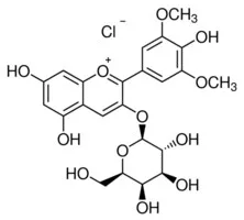 Merck MALVIDIN-3-O-GALACTOSIDE CHLORIDE*