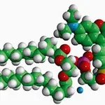 Merck 16:0 LISS RHOD PE